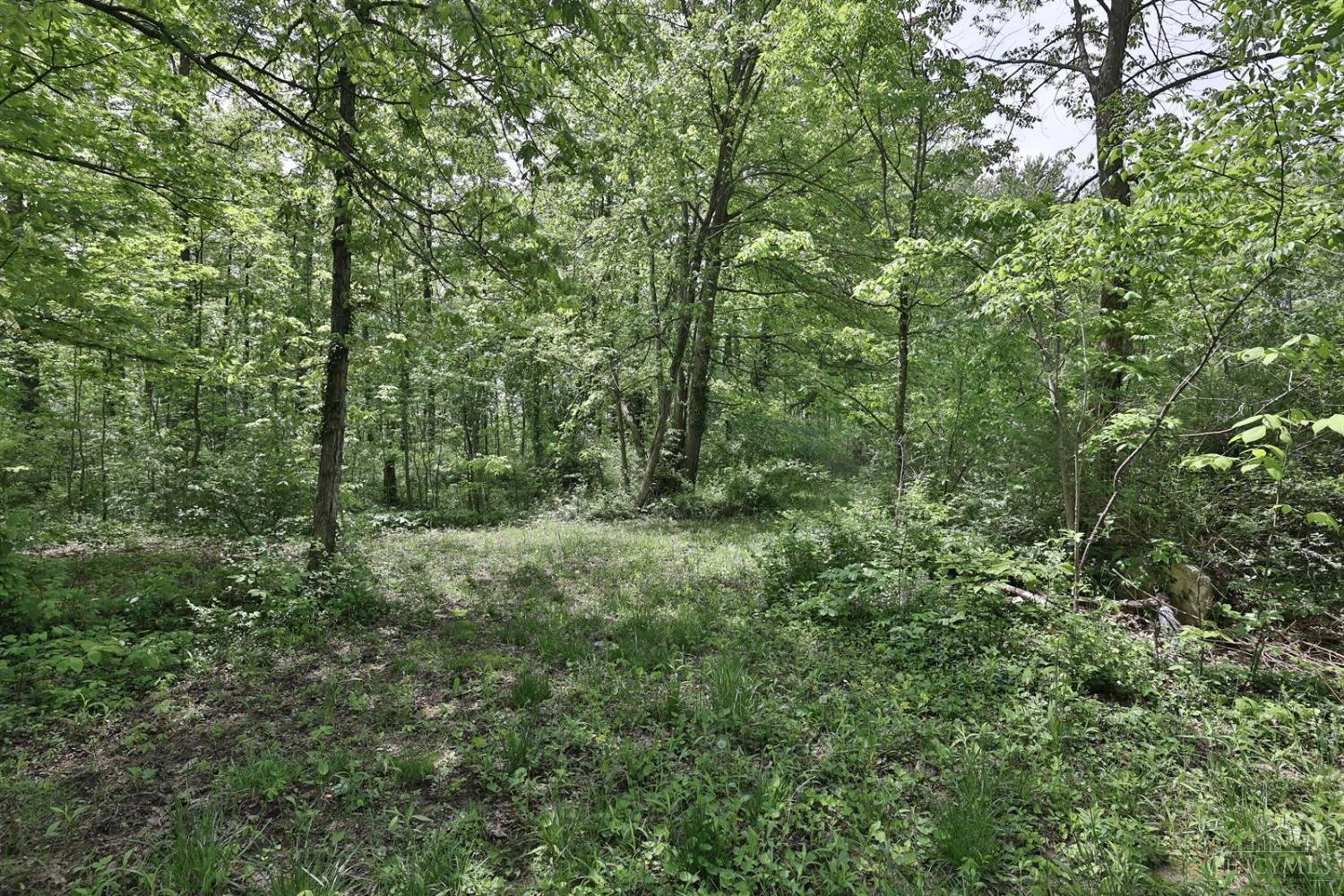 4305 Reed Road, Hamer Twp, Ohio image 45