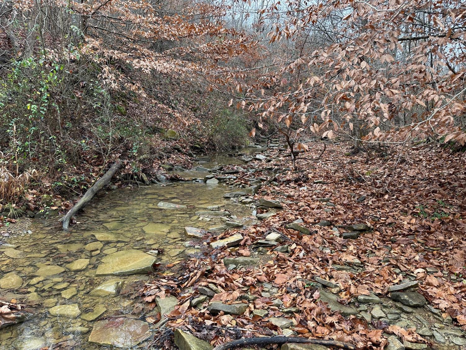 Lower Twin Creek Road, Stout, Ohio image 2