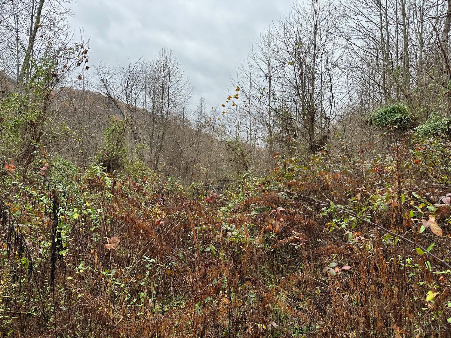 Lower Twin Creek Road, Stout, Ohio image 7