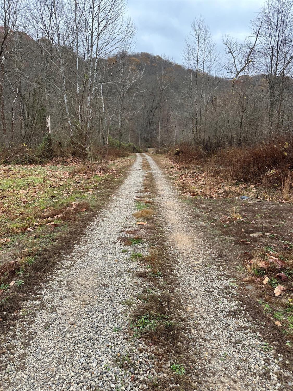 Lower Twin Creek Road, Stout, Ohio image 5