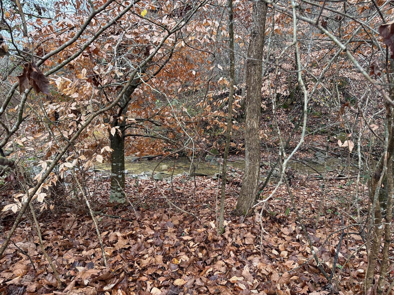 Lower Twin Creek Road, Stout, Ohio image 3