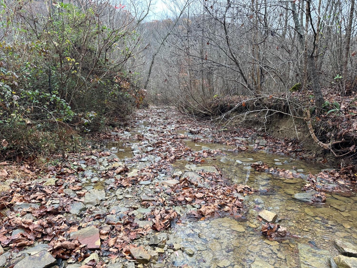 Lower Twin Creek Road, Stout, Ohio image 1