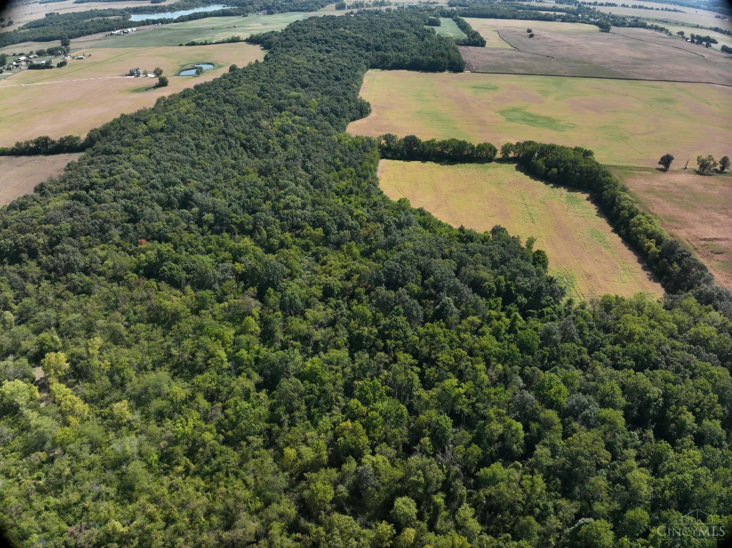 Mahar Road, South Vienna, Ohio image 20