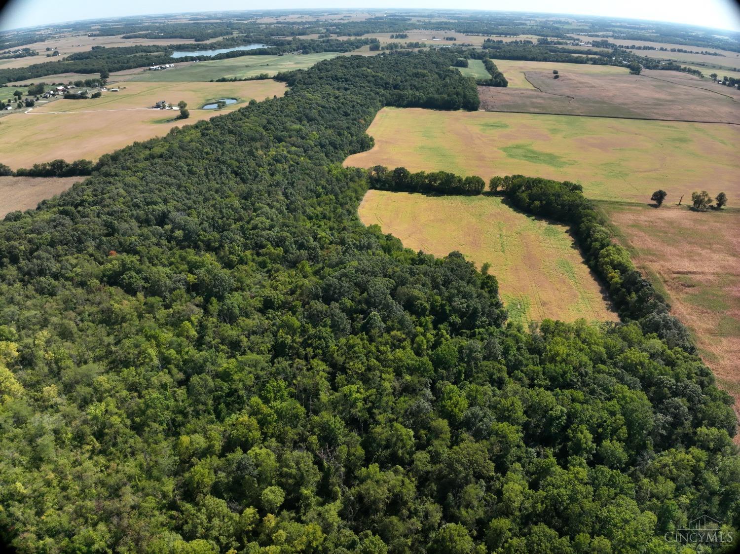 Mahar Road, South Vienna, Ohio image 19