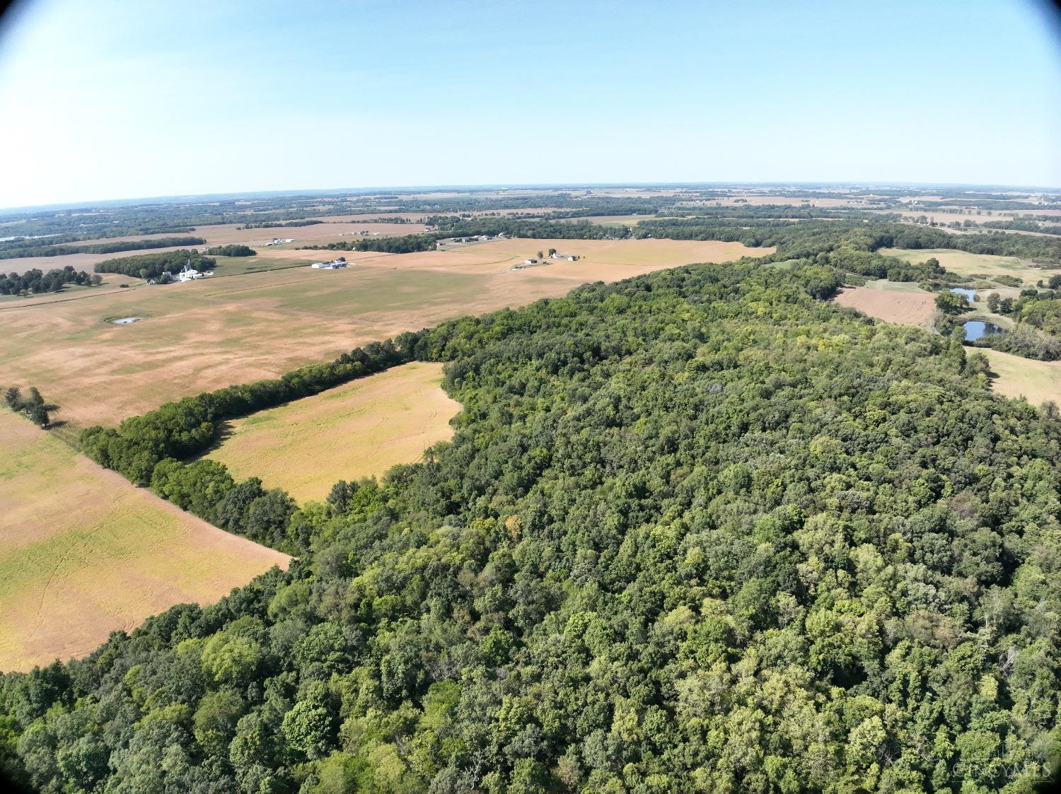 Mahar Road, South Vienna, Ohio image 6