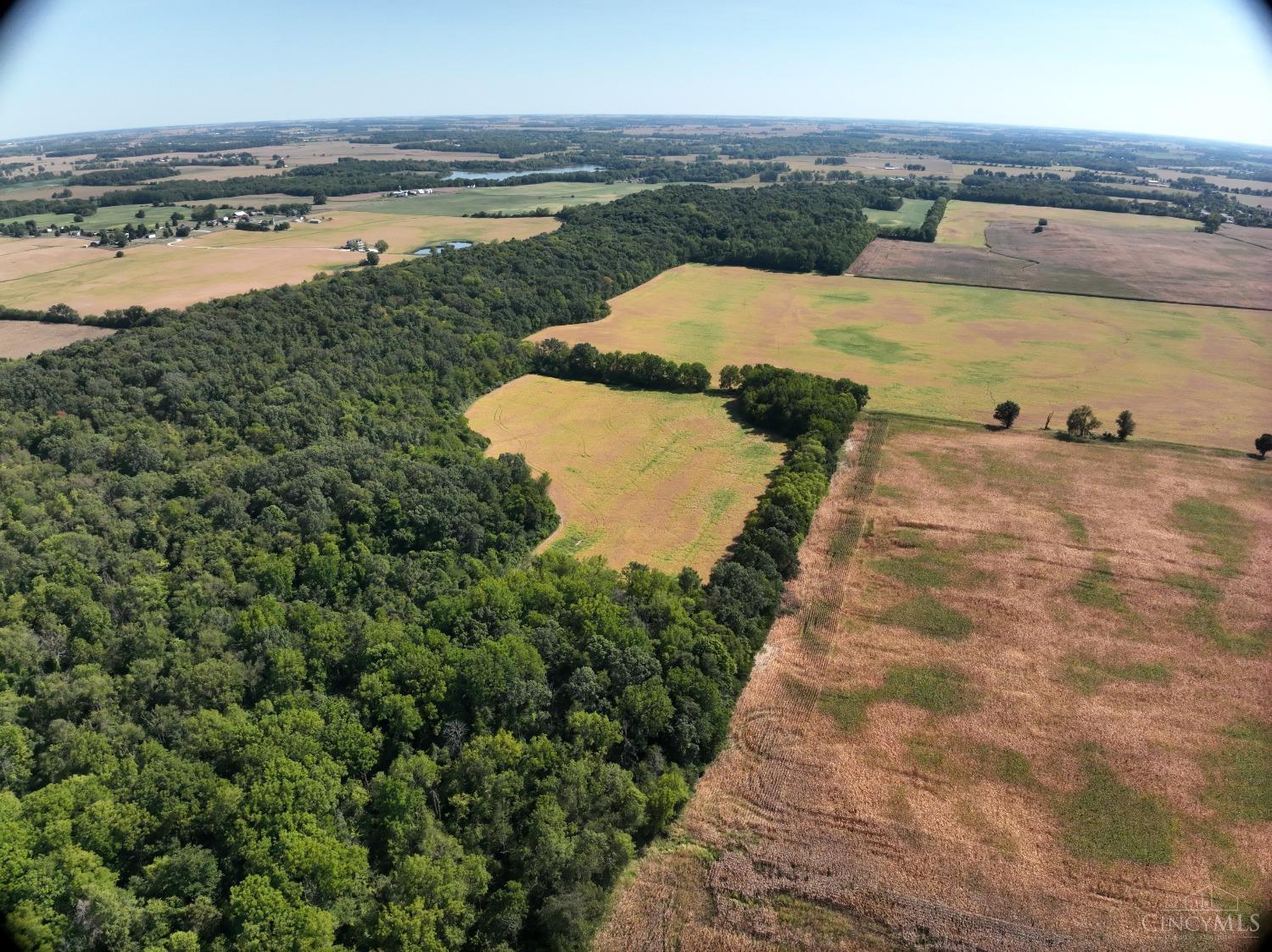 Mahar Road, South Vienna, Ohio image 17