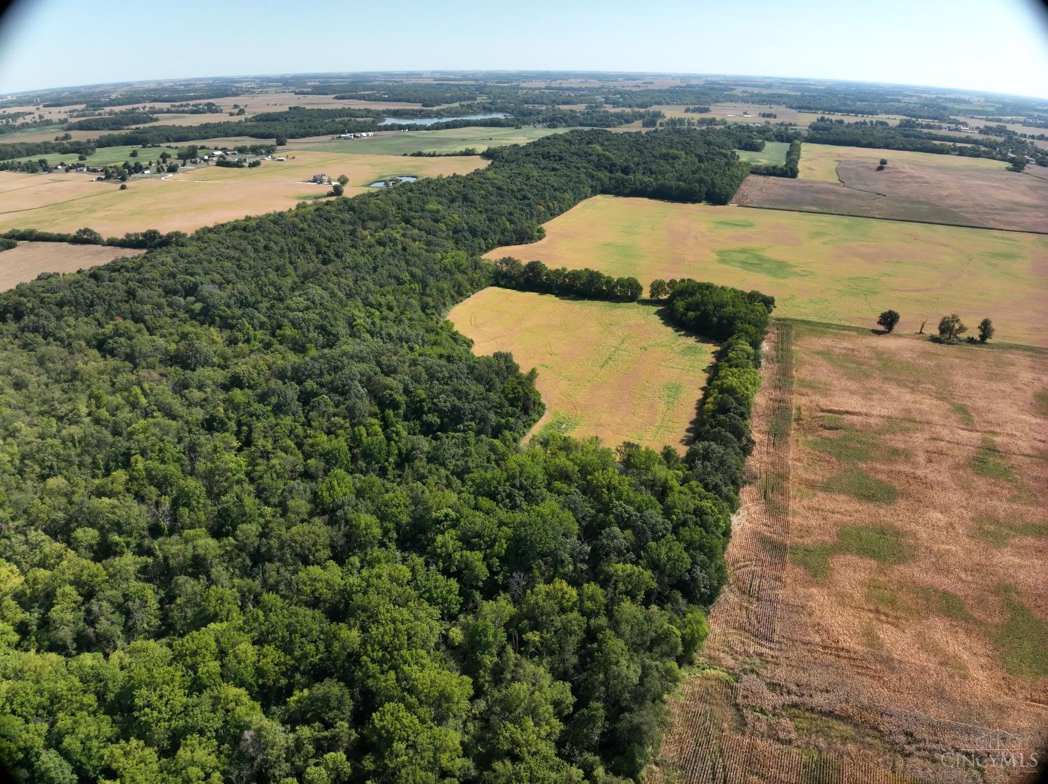 Mahar Road, South Vienna, Ohio image 18