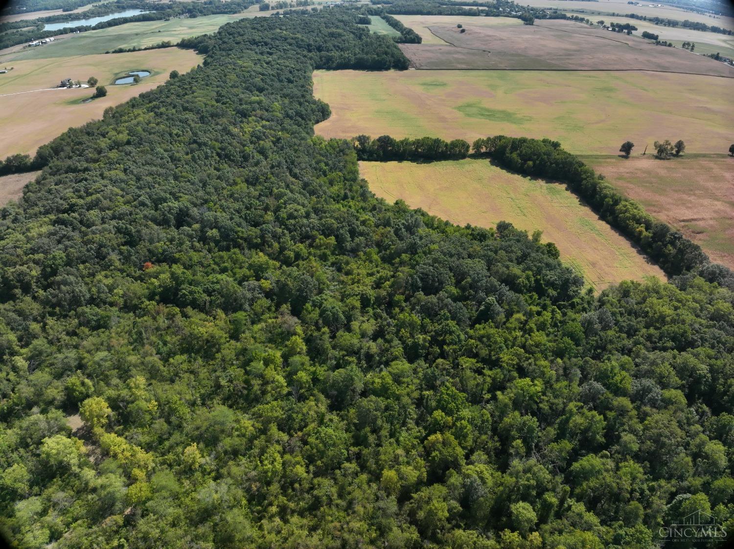 Mahar Road, South Vienna, Ohio image 21