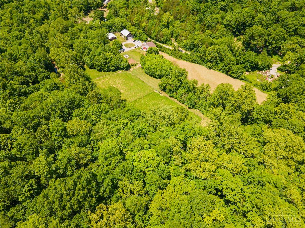 307 Bear Creek Drive, Felicity, Ohio image 16