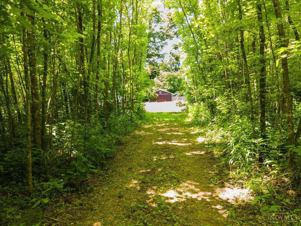 307 Bear Creek Drive, Felicity, Ohio image 7