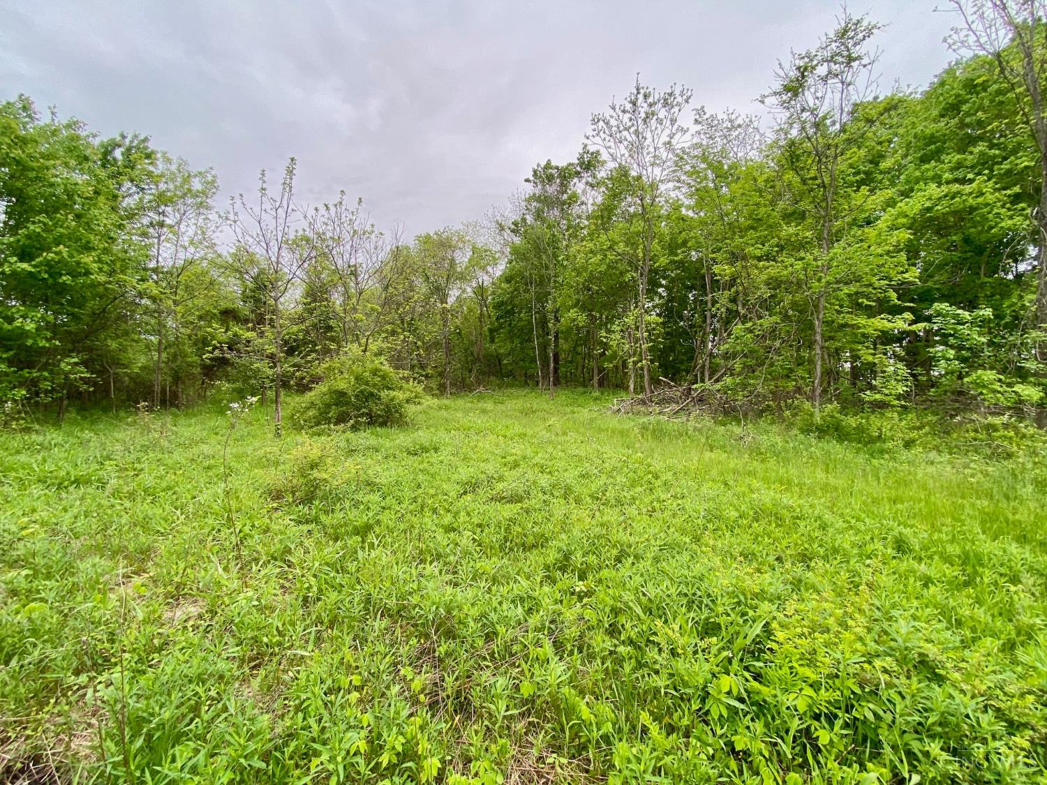Ac Patton Road, Winchester, Ohio image 9