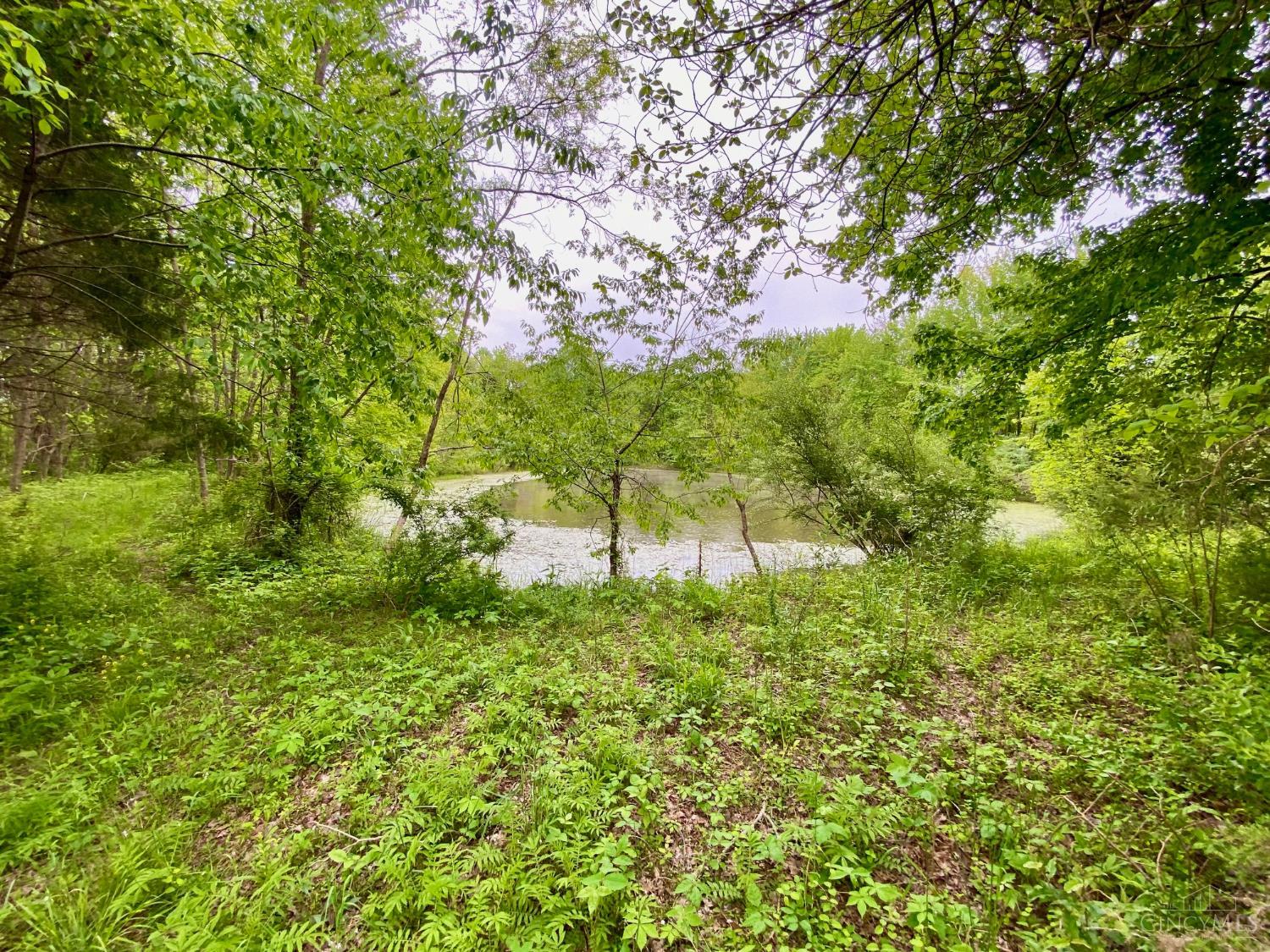 Ac Patton Road, Winchester, Ohio image 7