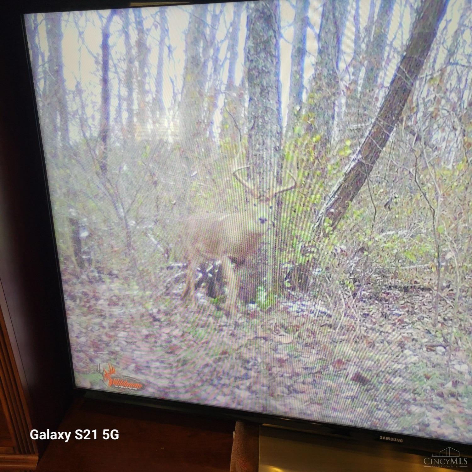 5458 Herrmann Road, Ripley, Ohio image 31