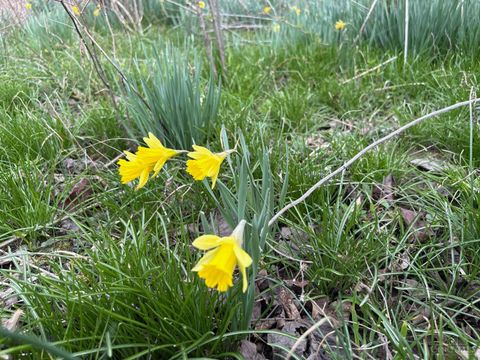 0 Township Rd 319 Willow Wood OH 45696