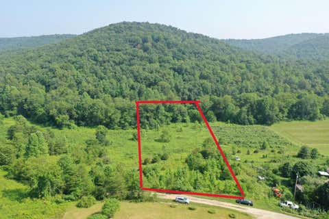 Vacant Land For Sale - 340 Lester Abbott Lane<br/> Blue Creek, OH 45616