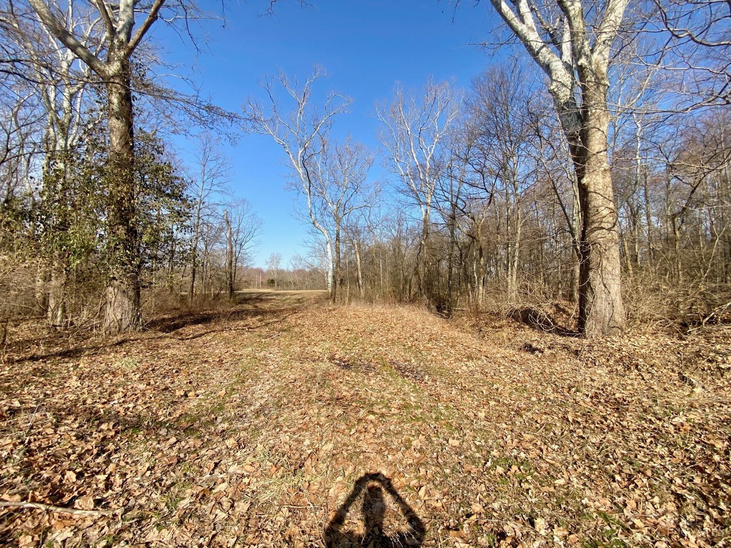 .2ac Mt Olive Pt Isabel Road, Franklin, Ohio image 8