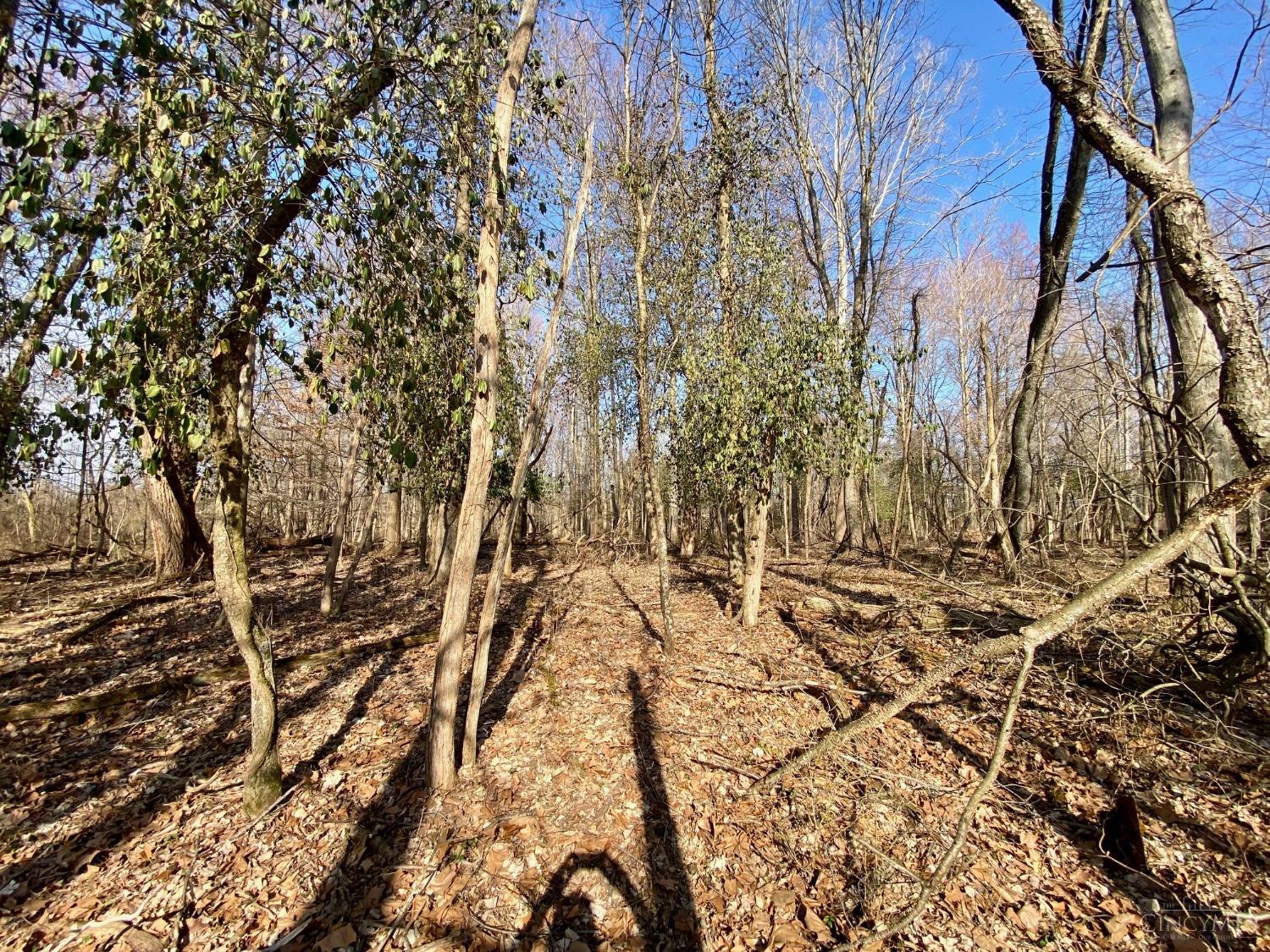 .2ac Mt Olive Pt Isabel Road, Franklin, Ohio image 6