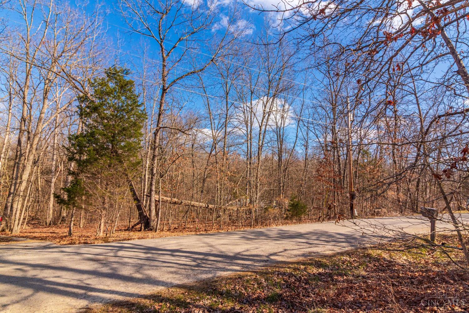 649 Rice Drive, West Union, Ohio image 9