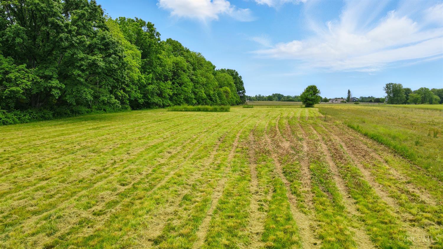 N Utica Road, Turtle Creek Twp, Ohio image 6