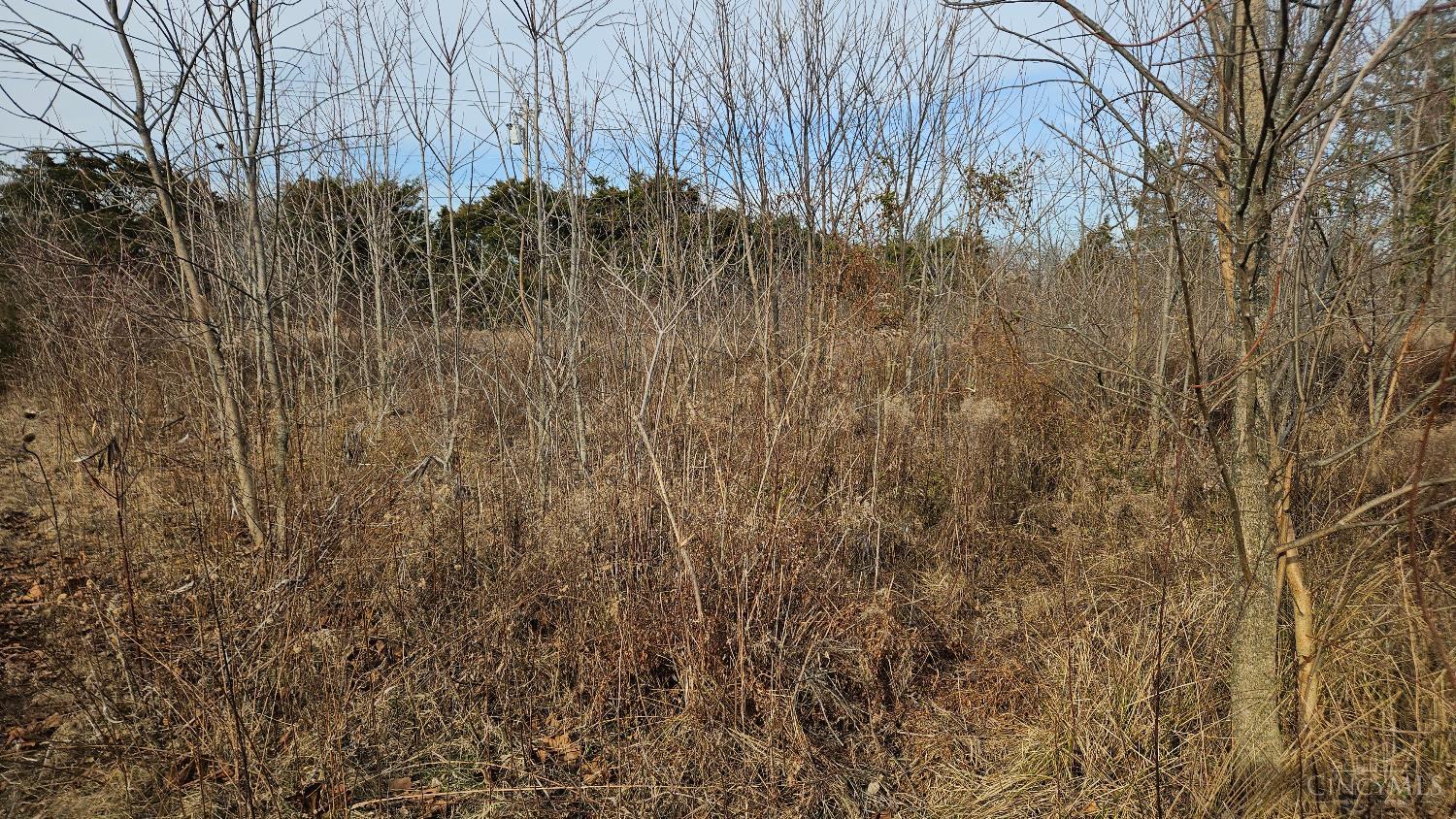 2259 Cedarville Road