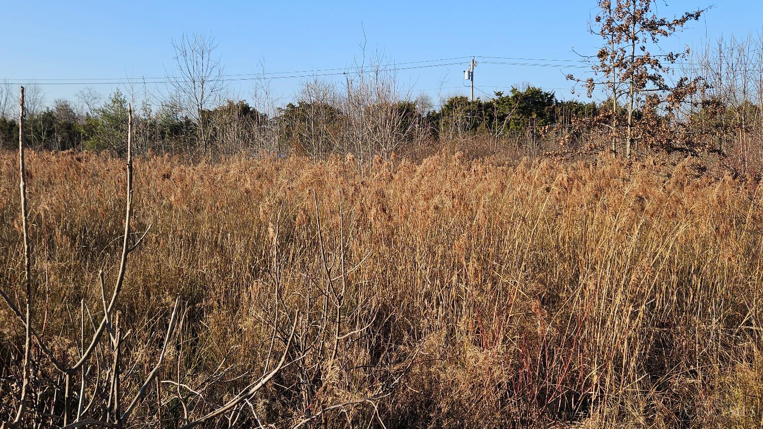 2259 Cedarville Road