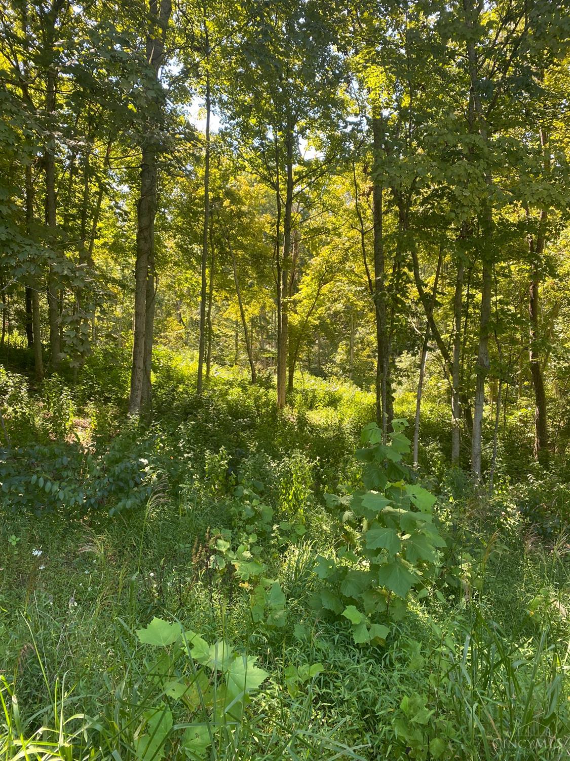 0 Sugar Camp Road