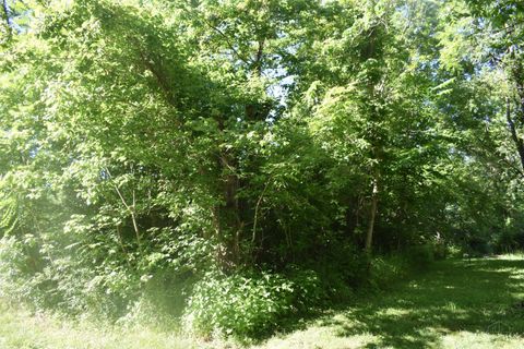 Vacant Land For Sale - 11871 Lakefront Drive<br/> Paint Twp, OH 45133