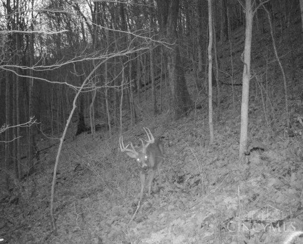 945 Lick Skillet Road, Manchester, Ohio image 32