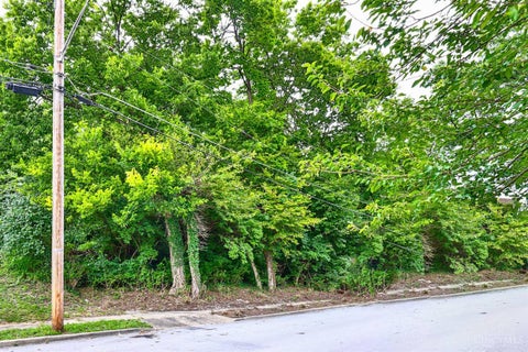 Vacant Land For Sale - 2911 Moosewood Court<br/> Hamilton County, Cincinnati, OH 45225