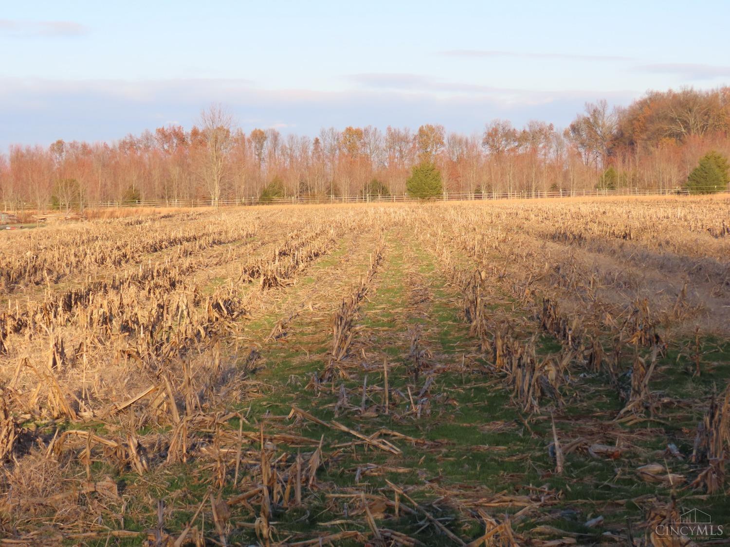 Marathon Edenton Road, Wayne Twp, Ohio image 11