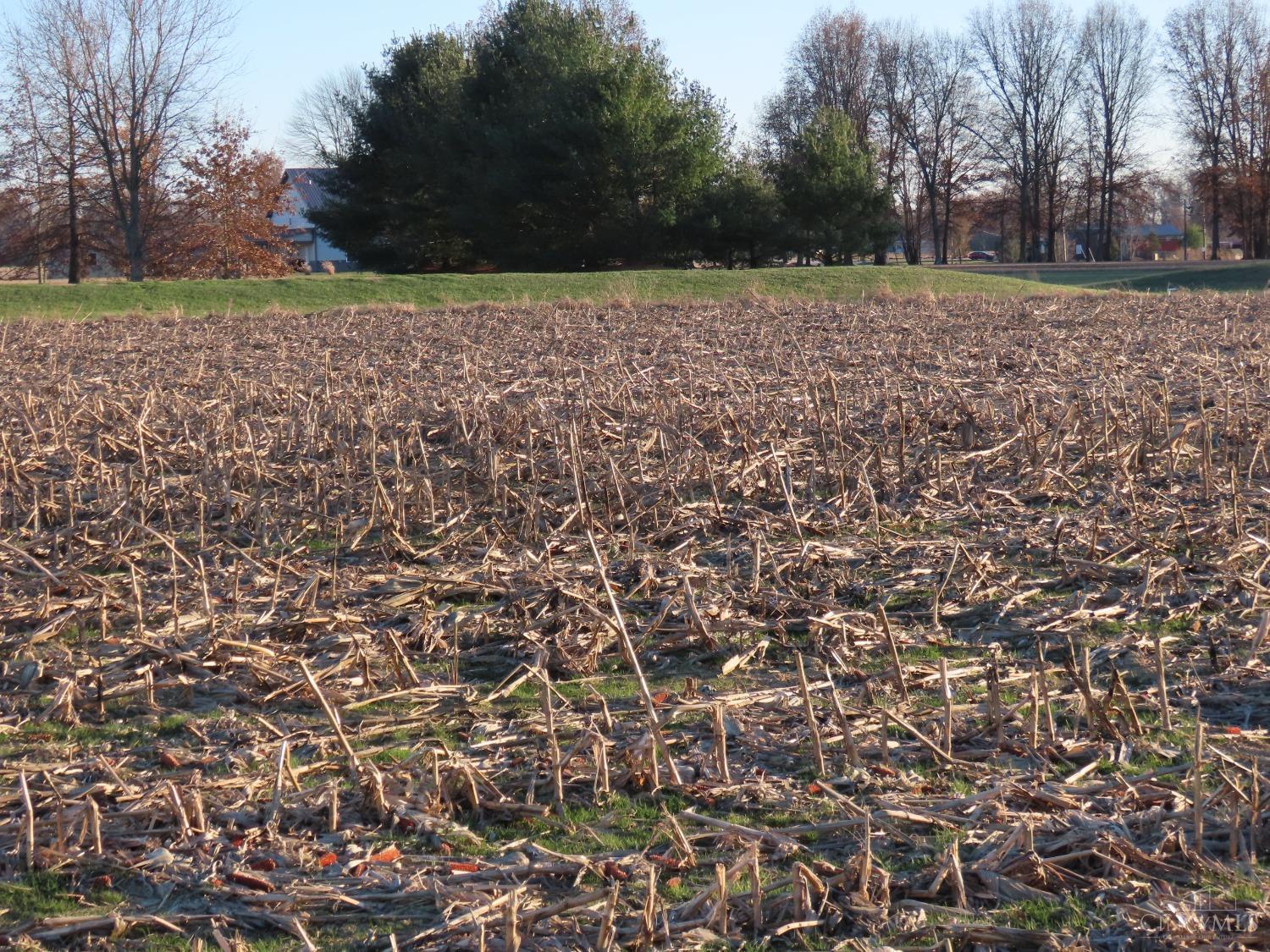 Marathon Edenton Road, Wayne Twp, Ohio image 10