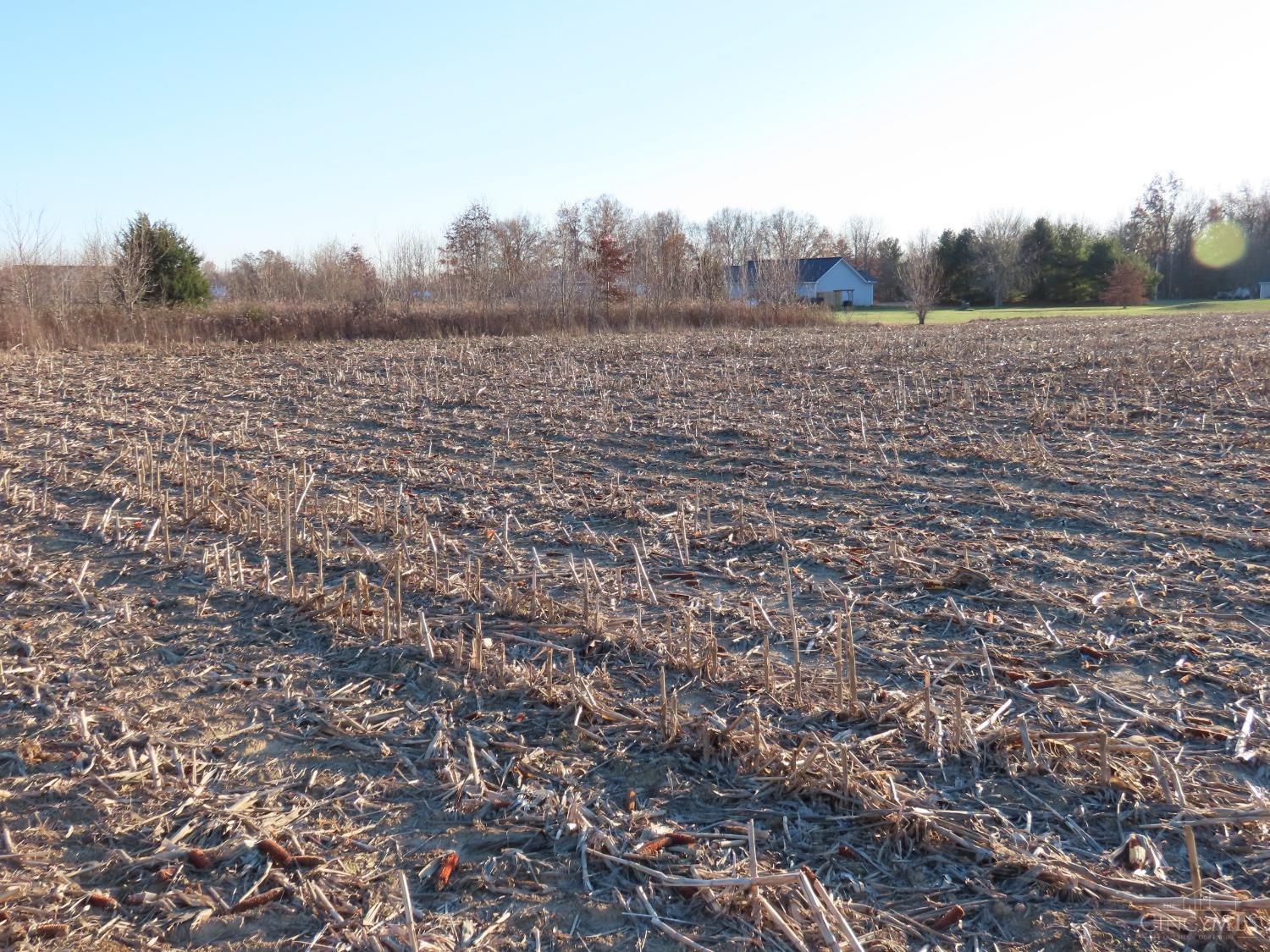 Marathon Edenton Road, Wayne Twp, Ohio image 4