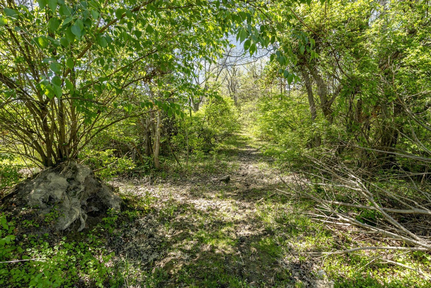 5897 Cook Road, Milford, Ohio image 25