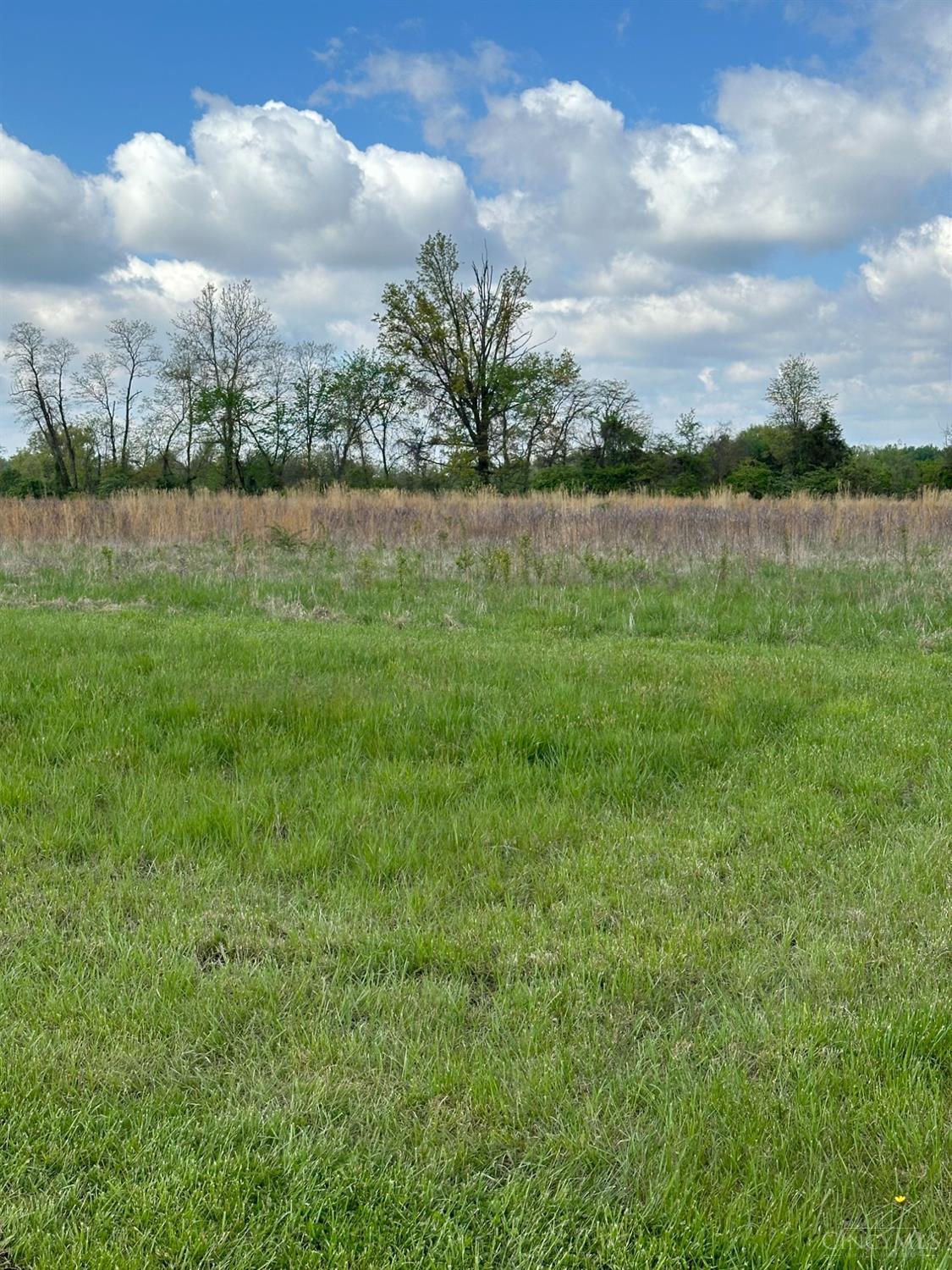 2267 Mckinley Farms Lane, Monroe, Ohio image 9