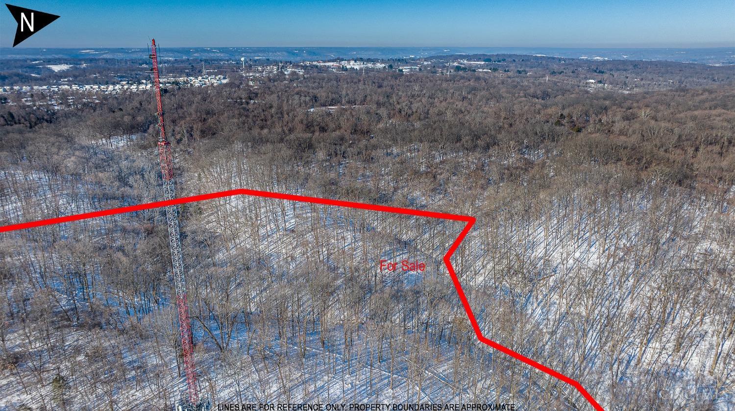 7449 Buena Vista Drive