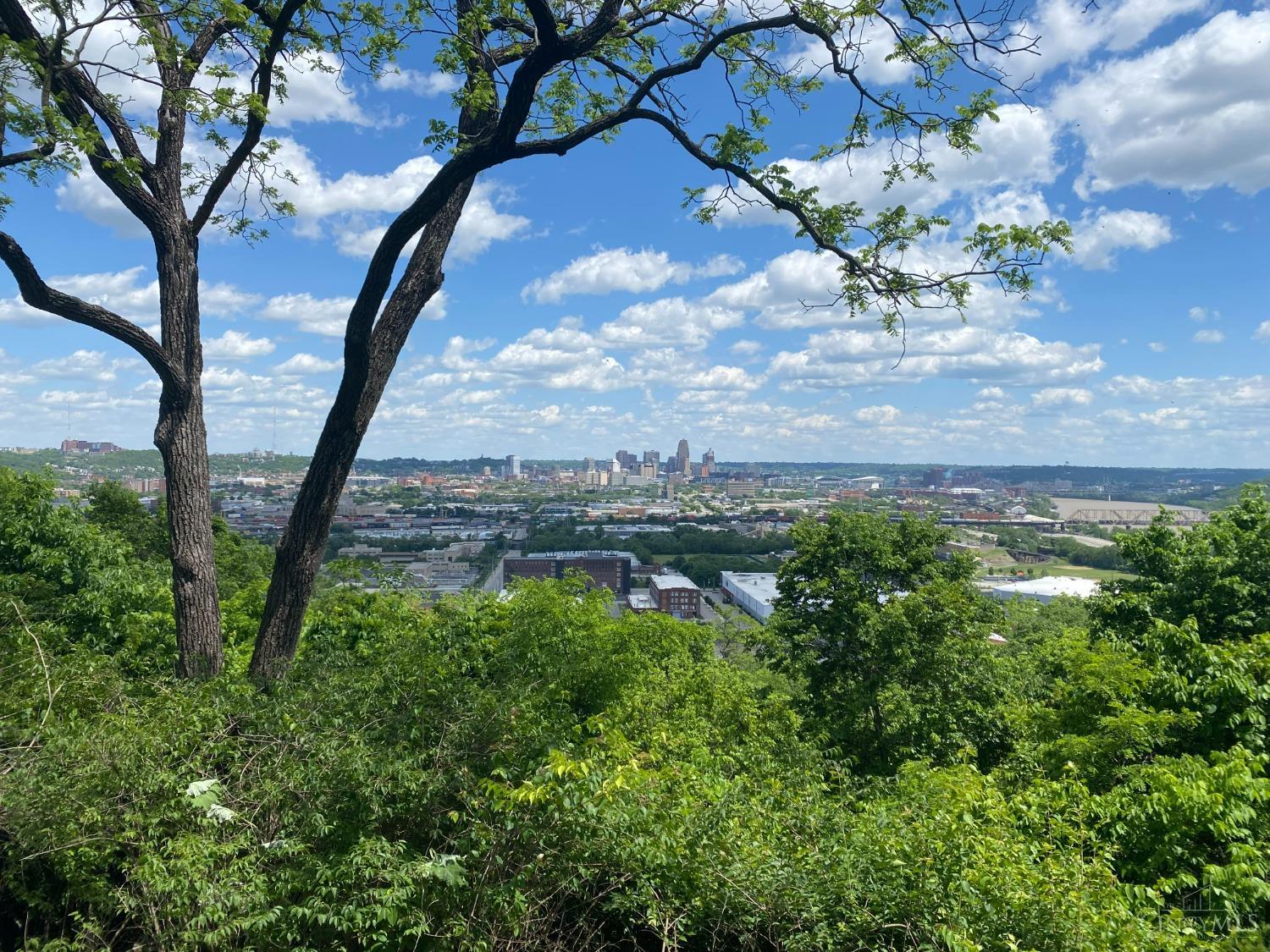 View Cincinnati, OH 45204 property