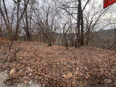 Vacant Land For Sale - 1875 Biegler Street<br/> Hamilton County, Cincinnati, OH 45214