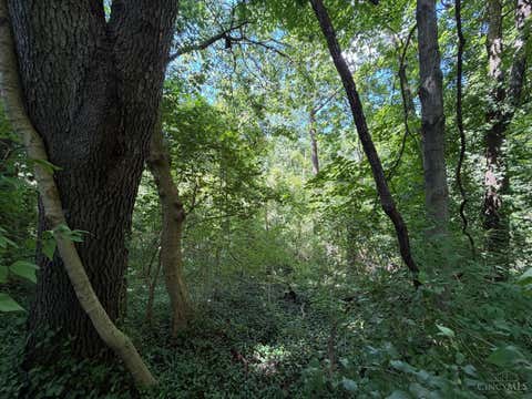Vacant Land For Sale - 2.78AC West Street<br/> Bethel, OH 45106