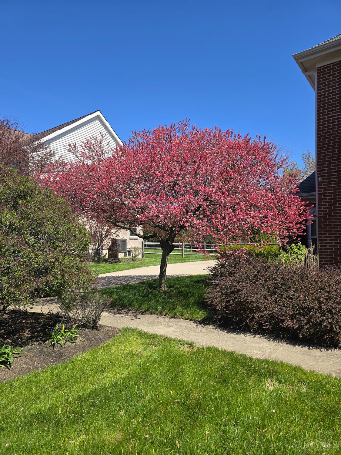 5088 Harvestdale Drive, Mason, Ohio image 6