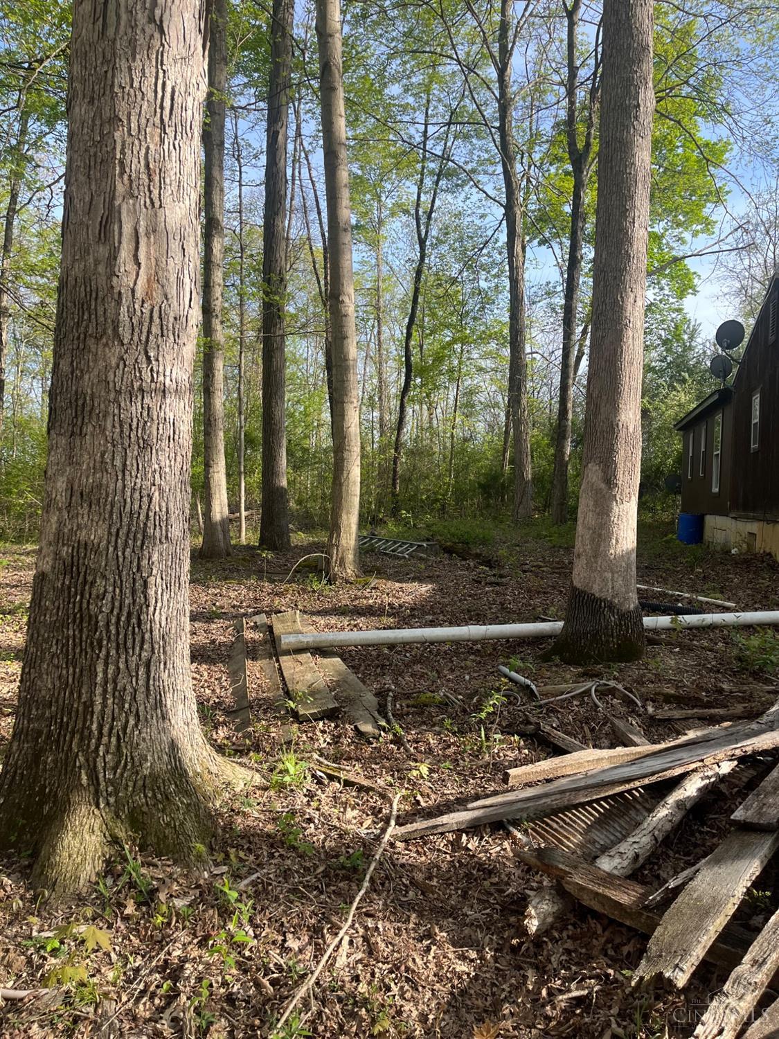471 Rickey Road, Winchester, Ohio image 17