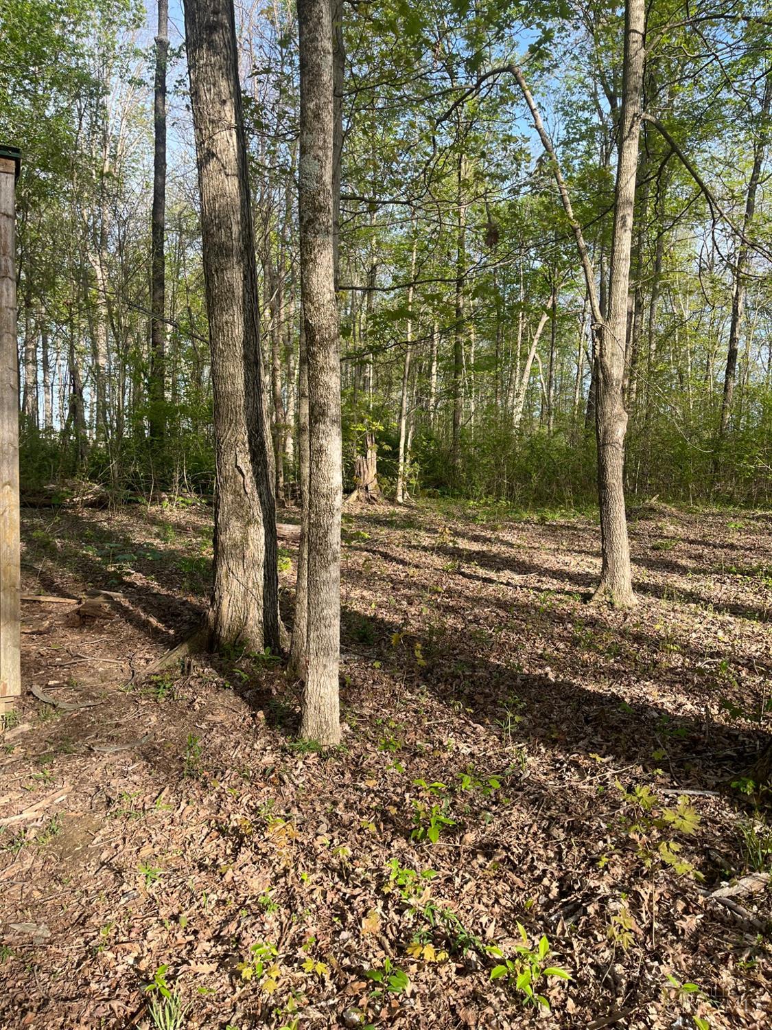 471 Rickey Road, Winchester, Ohio image 18