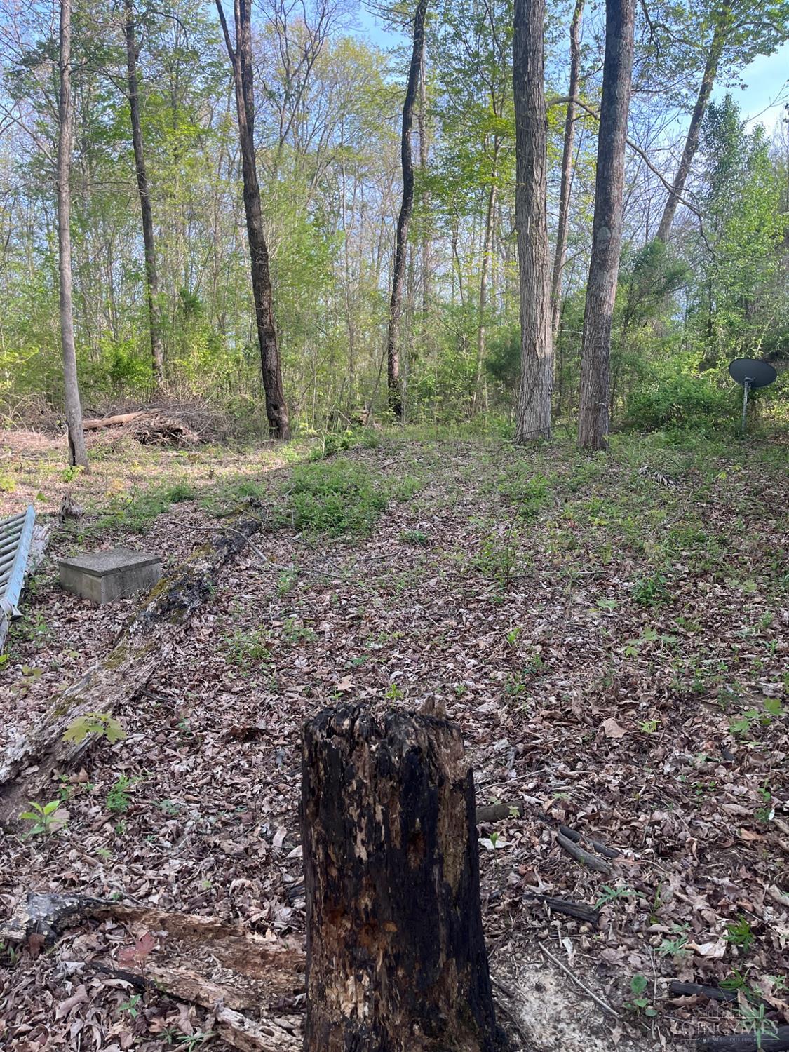 471 Rickey Road, Winchester, Ohio image 16