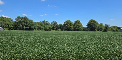 Vacant Land For Sale - Fayetteville Blanchester Road<br/> Brown County, Blanchester, OH 45107