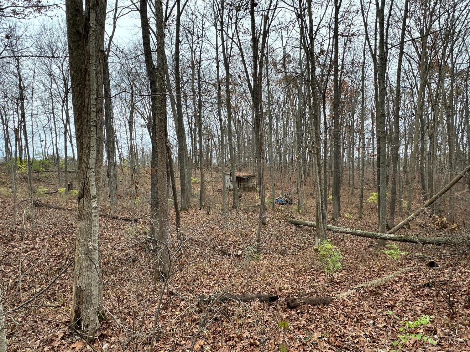 Sinking Spring Road, Brushcreek Twp, Ohio image 3