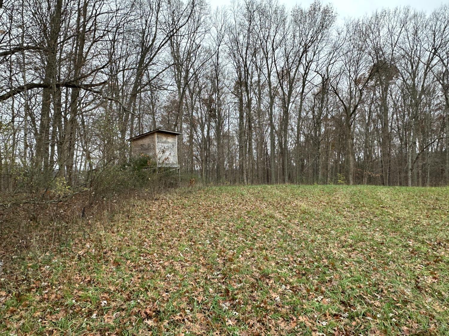 Sinking Spring Road, Brushcreek Twp, Ohio image 8