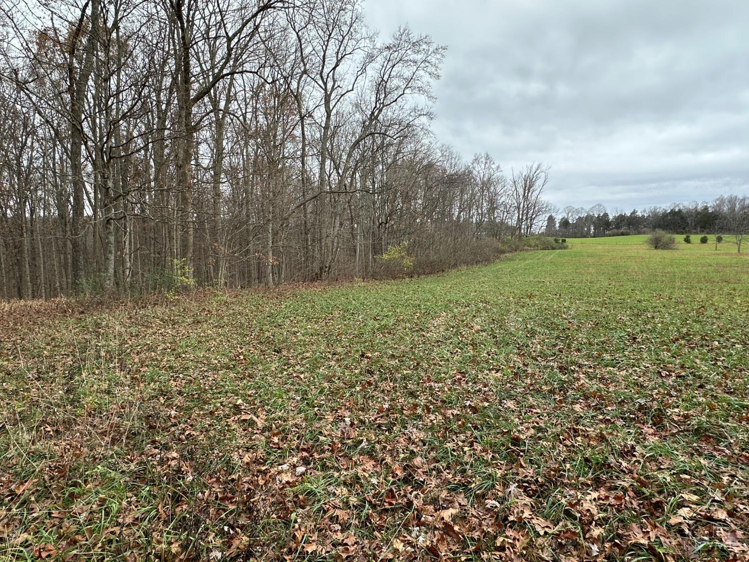 Sinking Spring Road, Brushcreek Twp, Ohio image 9