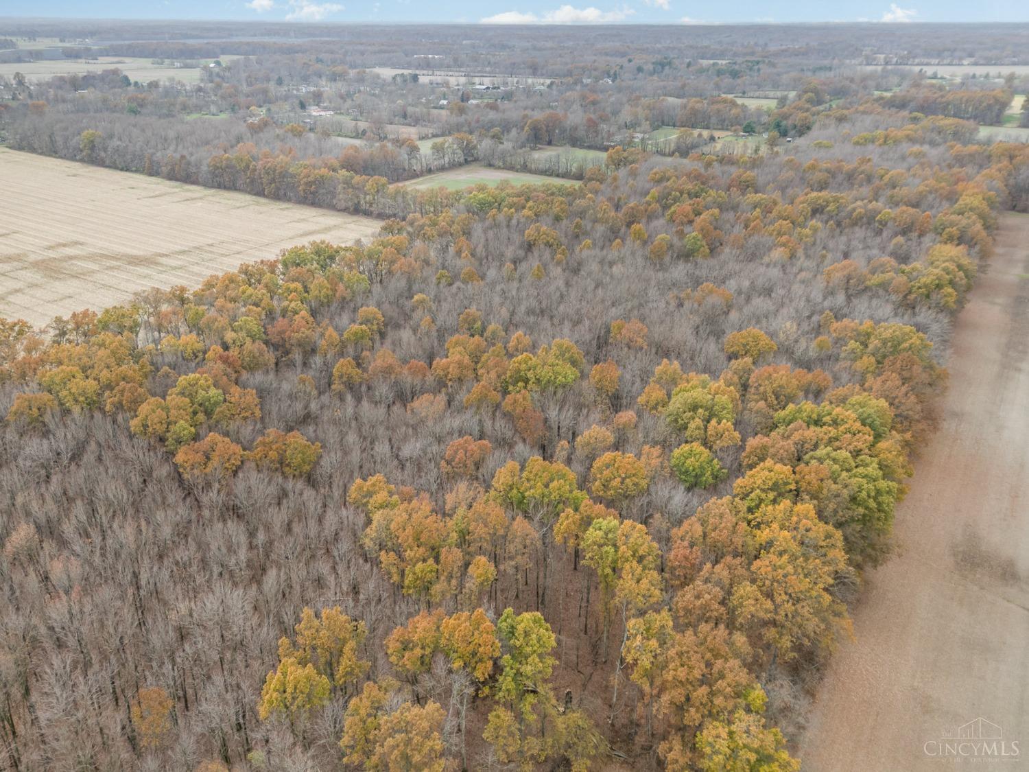 49acres Yankeetown Road, Hamersville, Ohio image 4