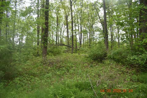 Vacant Land For Sale - 209 Schlitz Drive #209<br/> Perry Twp, OH 45118