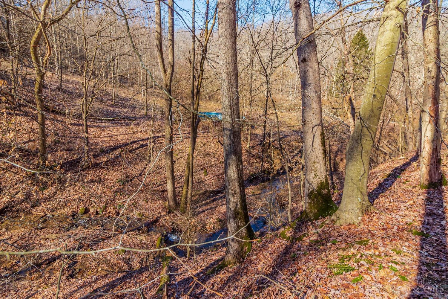2030 Slate Fork Road, Jefferson Twp, Ohio image 18
