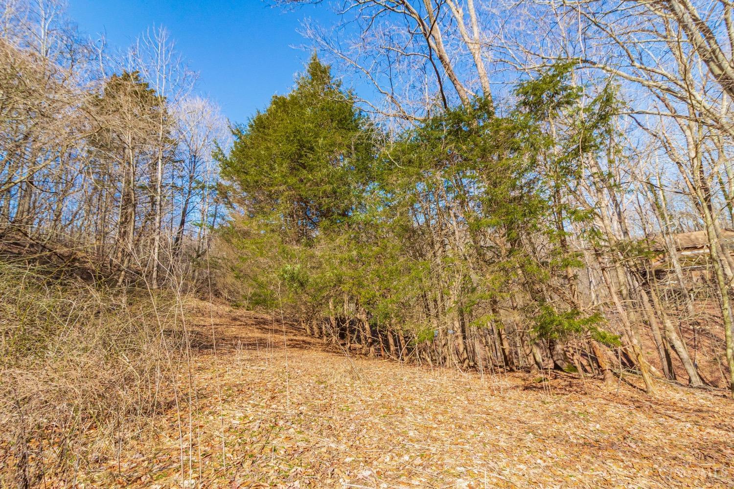 2030 Slate Fork Road, Jefferson Twp, Ohio image 12